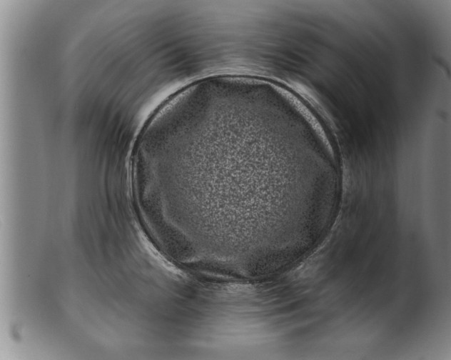 X0000099471238200805231822