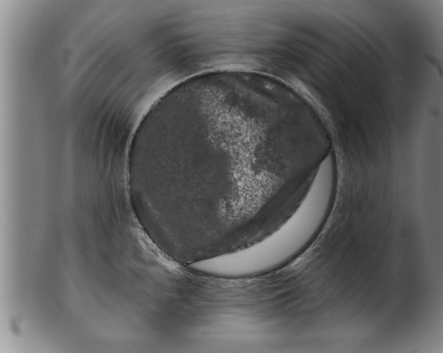 X0000099471240200805231822