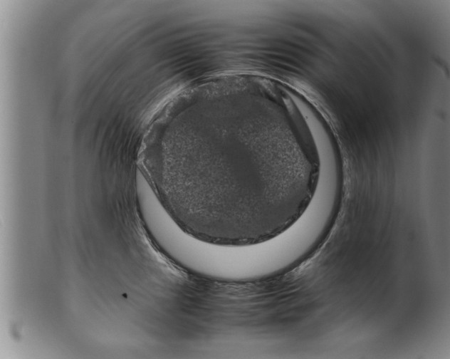 X0000099471241200805231822