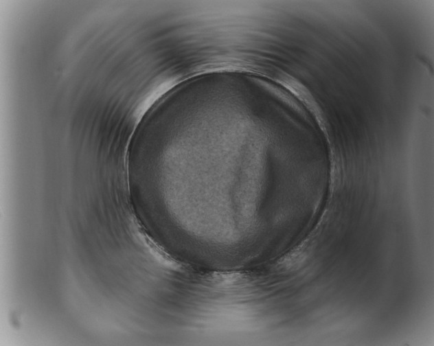 X0000099471242200805231823