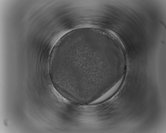 X0000099471244200805231823