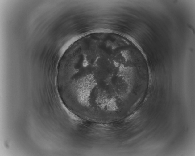 X0000099471245200805231823