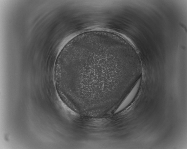 X0000099471247200805231823