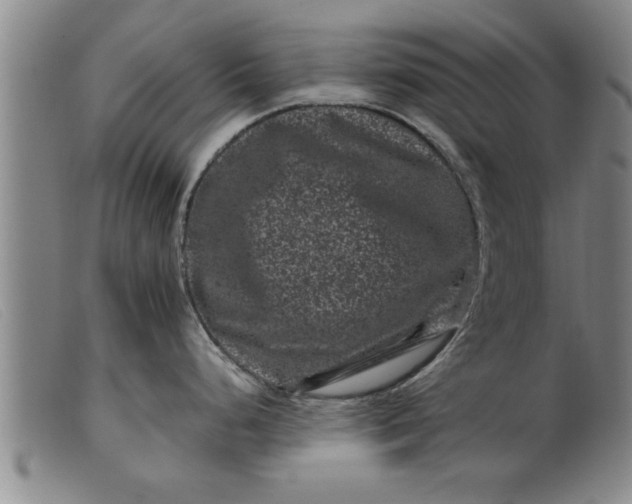 X0000099471248200805231823