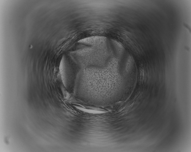 X0000099471250200805231822