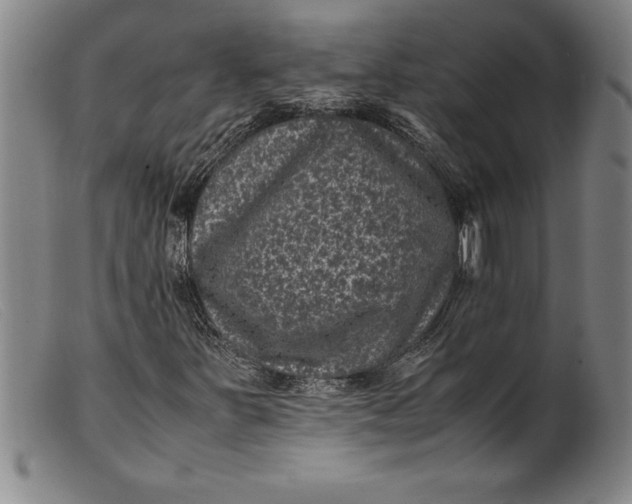 X0000099471251200805231822