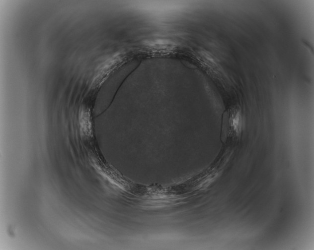 X0000099471252200805231822