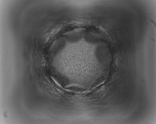 X0000099471253200805231822