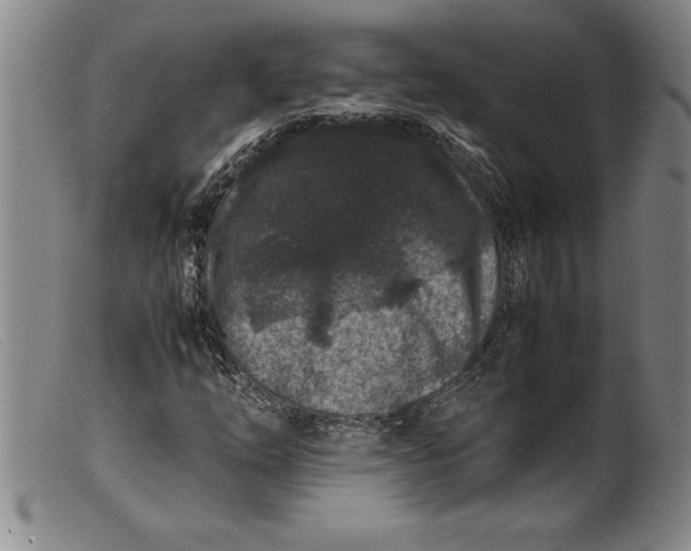 X0000099471254200805231822