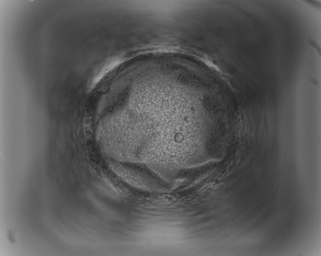 X0000099471255200805231822