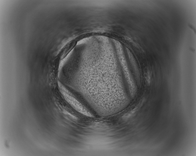 X0000099471256200805231822