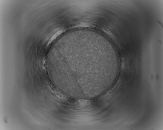 X0000099471258200805231822