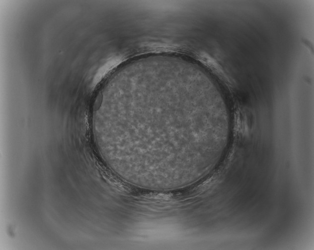 X0000099471261200805231822