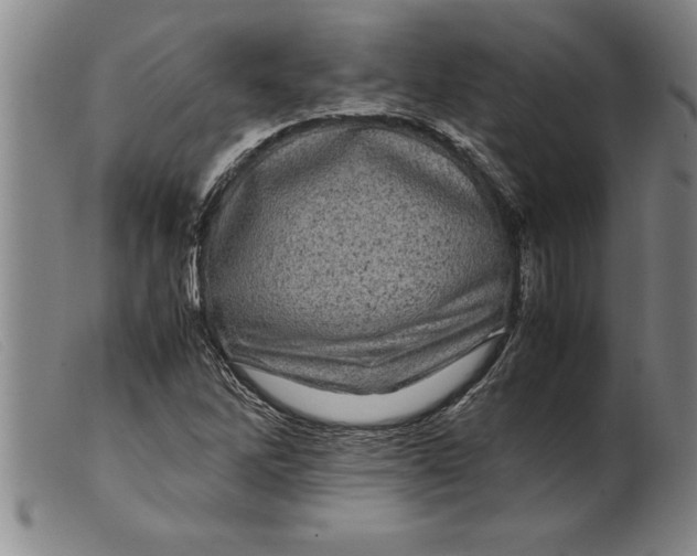 X0000099471262200805231822
