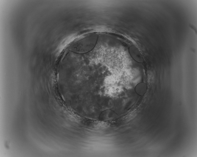X0000099471263200805231822