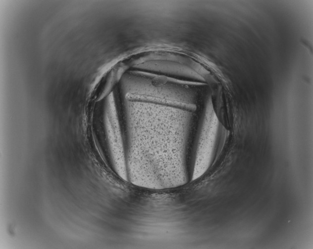 X0000099471264200805231822