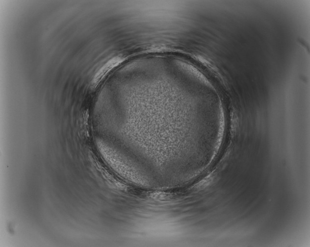 X0000099471265200805231822