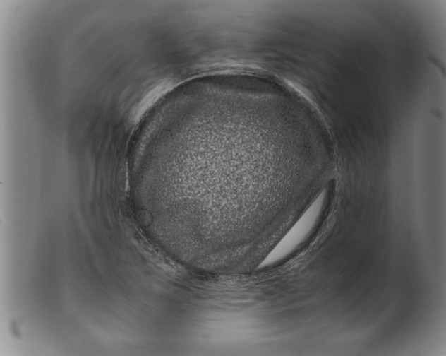 X0000099471267200805231821