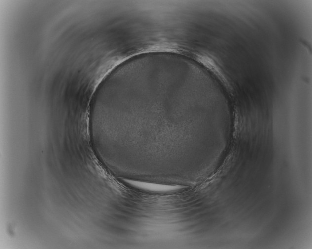 X0000099471268200805231821