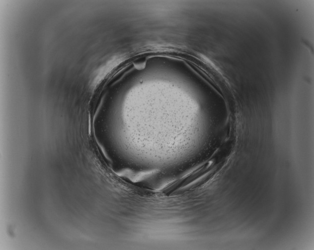 X0000099471269200805231821