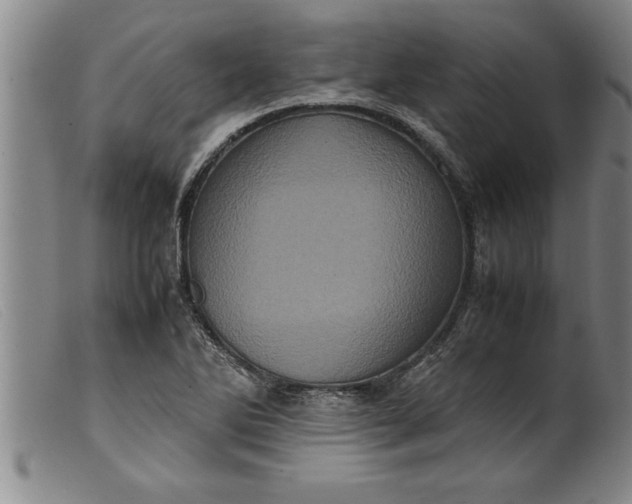 X0000099471270200805231821
