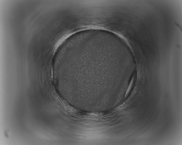 X0000099471271200805231821