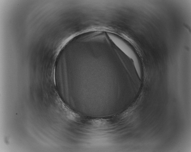 X0000099471272200805231821