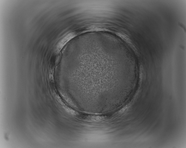 X0000099471273200805231821