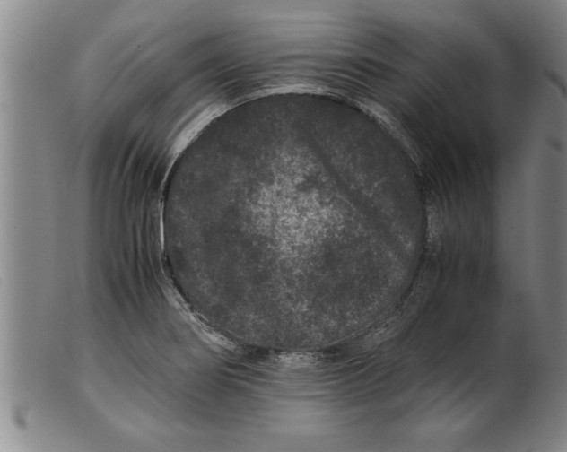 X0000099471274200805231821