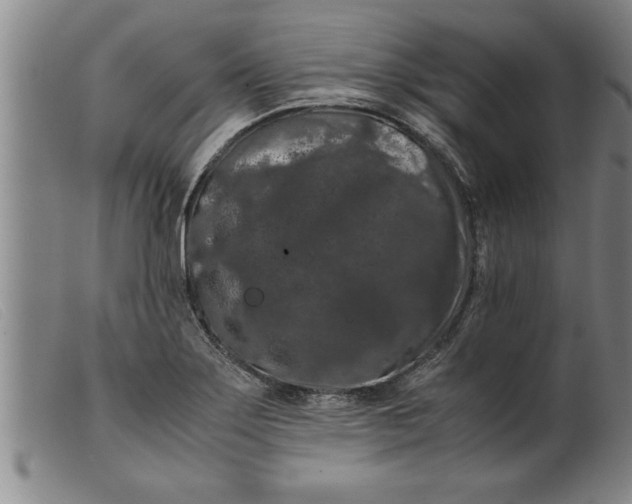 X0000099471275200805231821