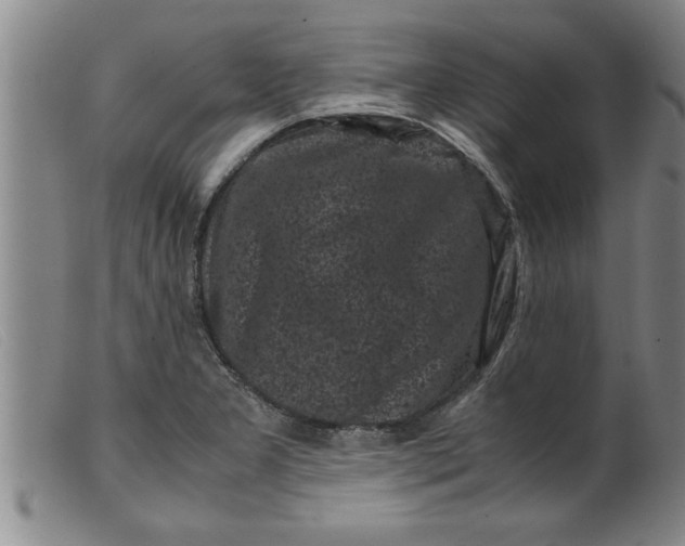 X0000099471277200805231821