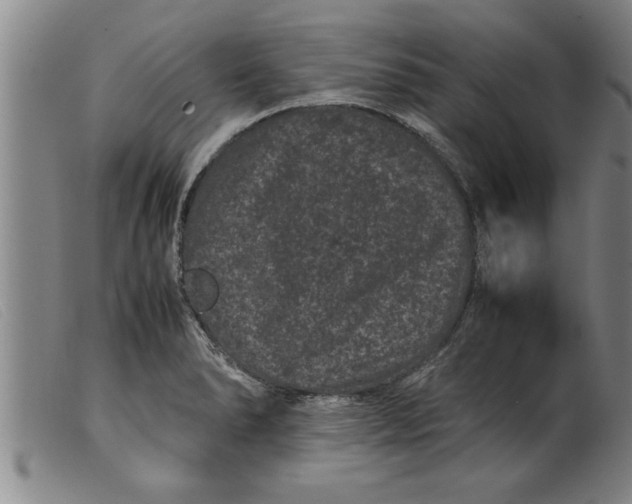 X0000099471278200805231821