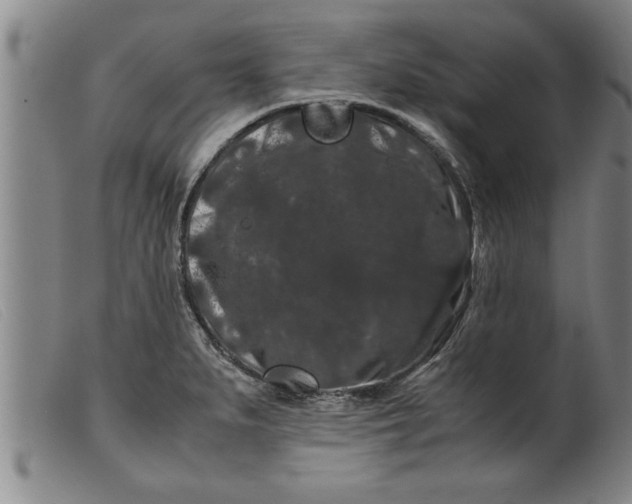 X0000099471279200805231821