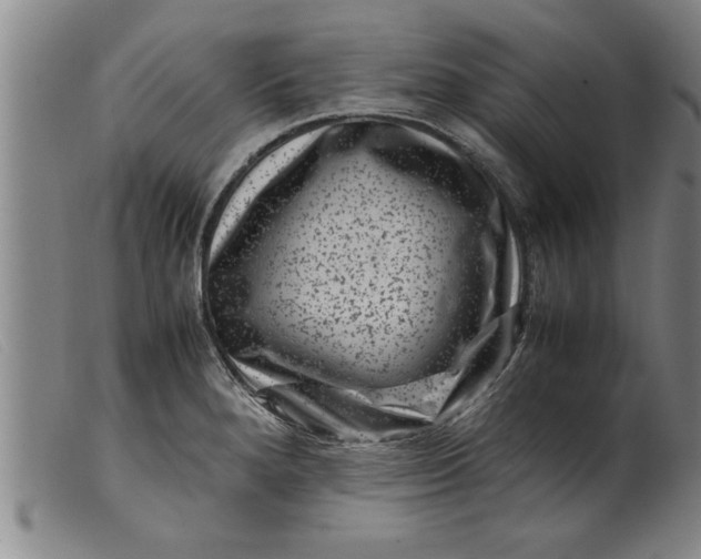 X0000099471280200805231821