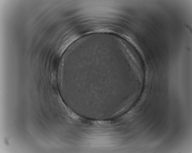 X0000099471281200805231821