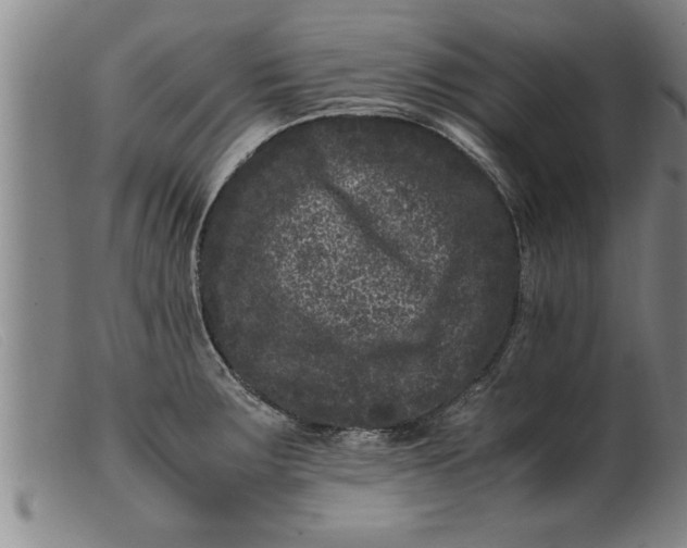 X0000099471283200805231821
