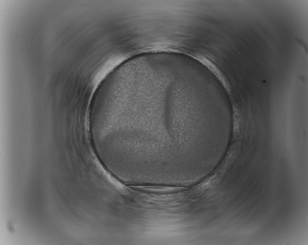 X0000099471285200805231821