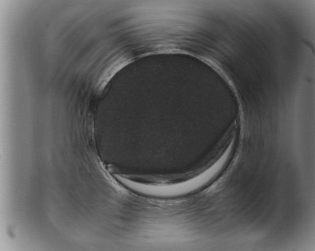 X0000099471289200805231821