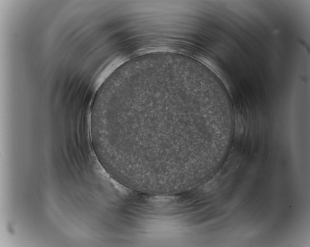 X0000099471290200805231821