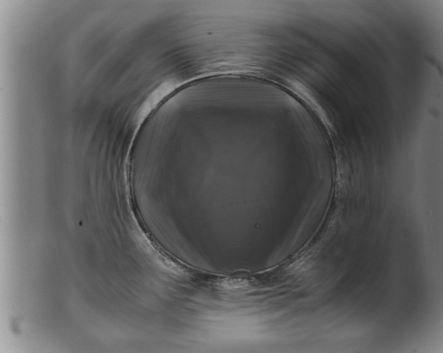 X0000099471291200805231821