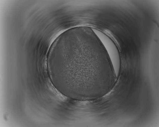 X0000099471292200805231821