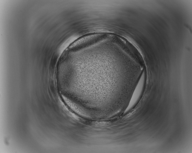 X0000099471293200805231821