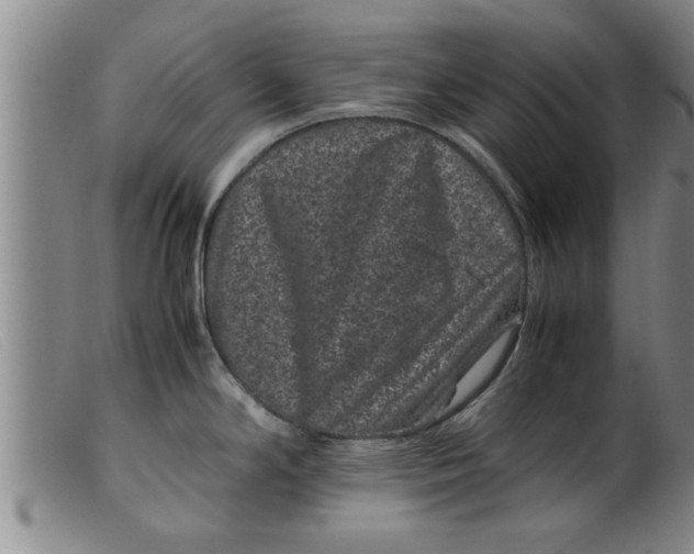 X0000099471294200805231821