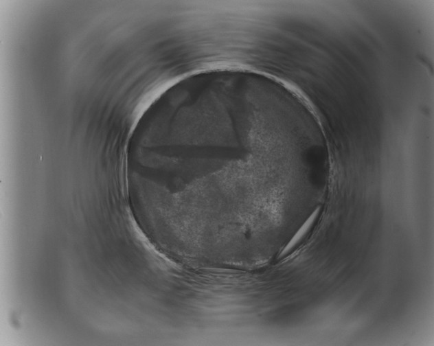 X0000099471295200805231821