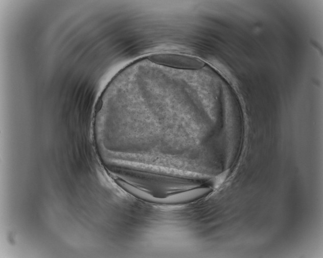 X0000099471296200805231821