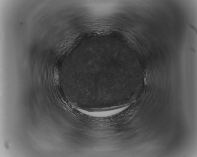 X0000099471298200805231820