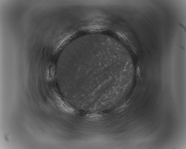 X0000099471300200805231820