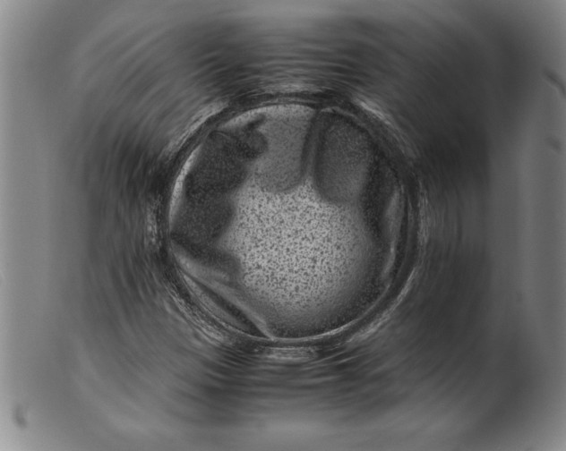 X0000099471305200805231820
