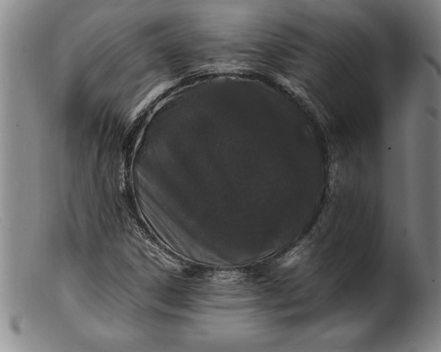 X0000099471306200805231820