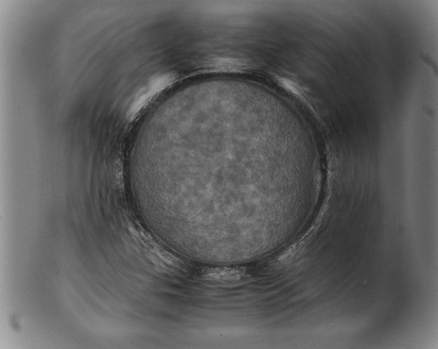 X0000099471307200805231820